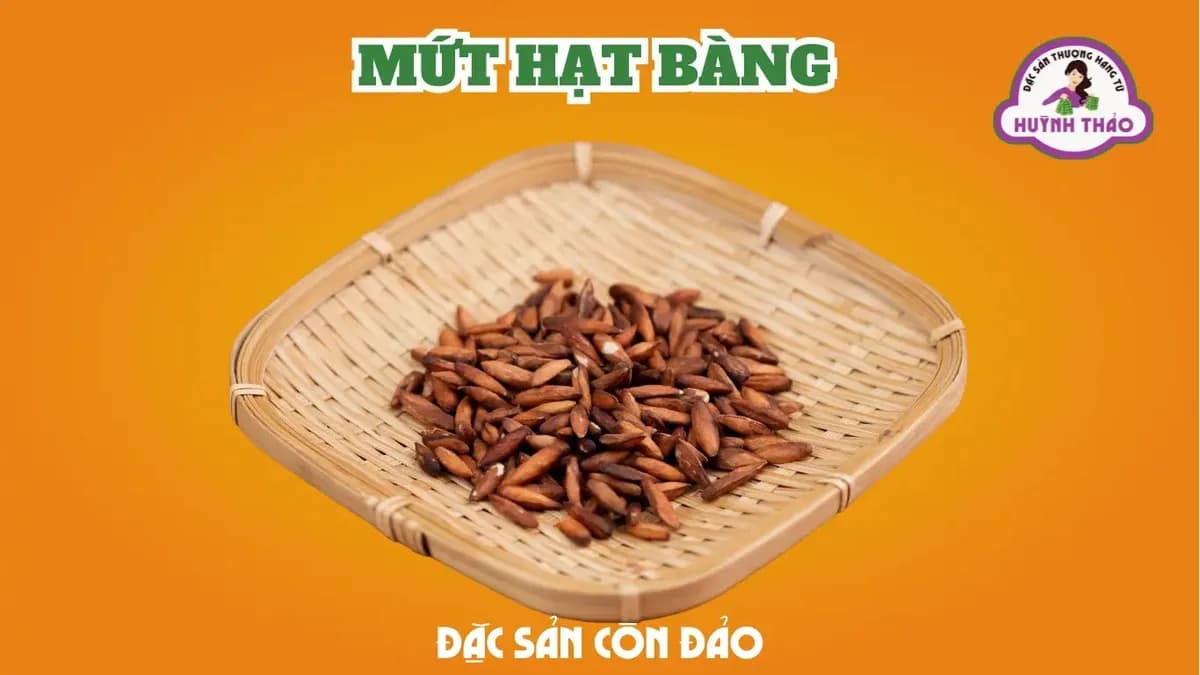 Hạt bàng Côn Đảo - quà tặng đặc sản ý nghĩa cho Tết và du lịch
