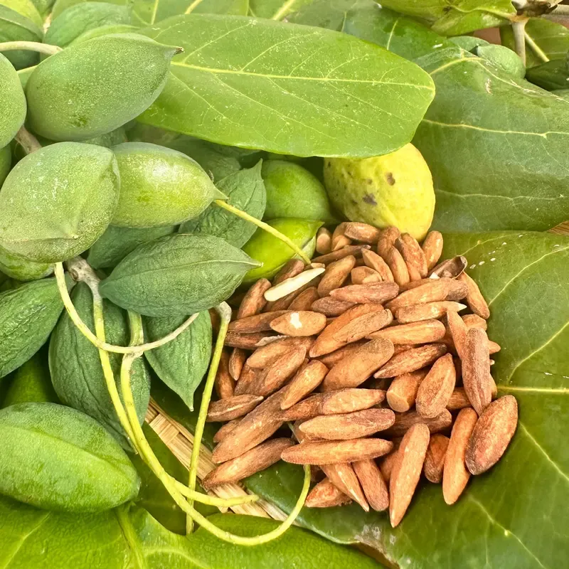 Hạt bàng rang đường Côn Đảo túi 200g thích hợp mua ăn thử